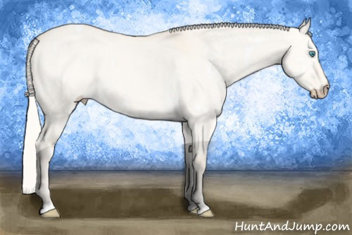 Horse Color:White Spotted Cremello Dun 