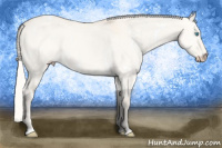 Horse Color:White Spotted Cremello Dun