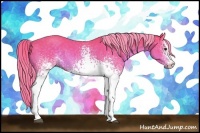 Horse Color:Watercolor White Spotted Chocolate Palomino Sabino 