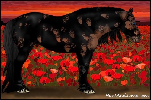 Horse Color:Void Bay Splash Tobiano Frame Appaloosa Rabicano 