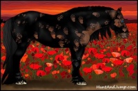 Horse Color:Void Bay Splash Tobiano Frame Appaloosa Rabicano 