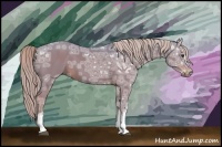 Horse Color:Watercolor White Spotted Liver Chestnut Ice 