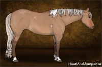 Horse Color:Silver Bay Dun Tobiano 