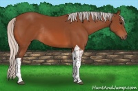 Horse Color:Silver Bay Tobiano Rabicano 