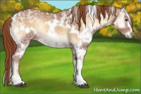 Horse Color:White Spotted Red Onyx Ice 