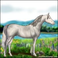Horse Color:Perlino Roan Rabicano 