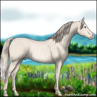 Horse Color:Perlino Rabicano