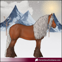 Horse Color:Silver Bay 