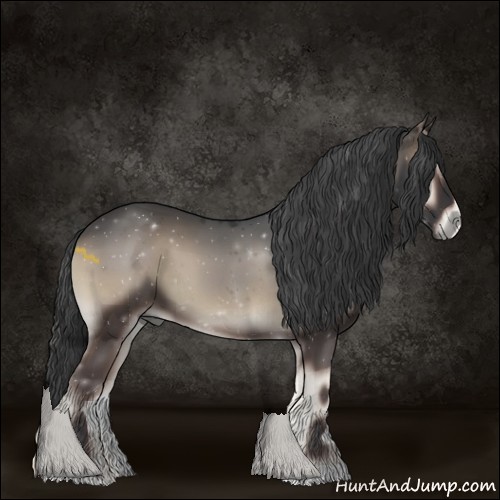 Horse Color:Blue Onyx