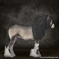Horse Color:Blue Onyx 