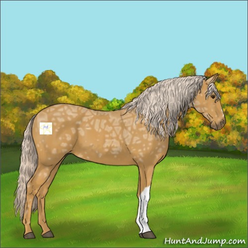 Horse Color:Palomino Ice 