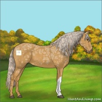 Horse Color:Palomino Ice 