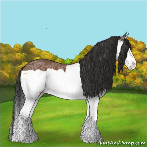 Horse Color:Bay Ice Splash 