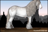 Horse Color:White Spotted Silver Blue Roan 