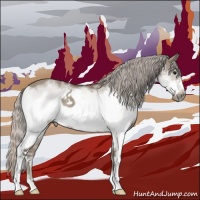 Horse Color:White Spotted Silver Grullo Frame Rabicano