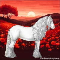 Horse Color:White Spotted Palomino