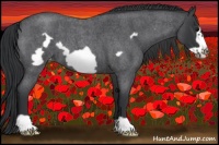 Horse Color:Blue Roan Frame Varnish 