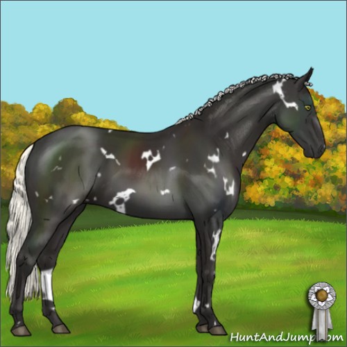 Horse Color:White Spotted Liver Chestnut Mushroom 