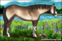 Horse Color:Liver Red Onyx Rabicano 