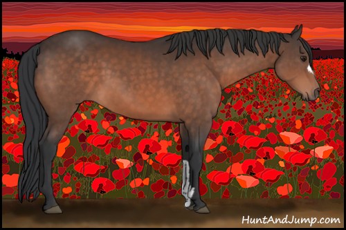 Horse Color:Brown 