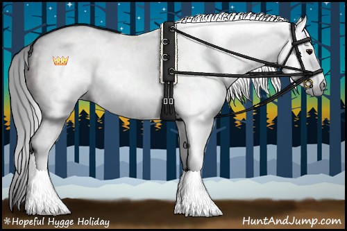 Horse Color:Gray White Spotted Bay 