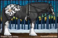 Horse Color:White Spotted Black Appaloosa 