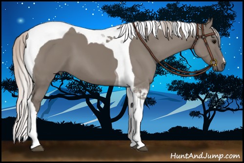 Horse Color:Silver Grullo Tobiano 