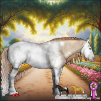 Horse Color:Gold Champagne Dun Splash Appaloosa Rabicano 