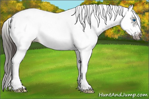 Horse Color:White Spotted Grullo Roan Splash Frame Appaloosa 