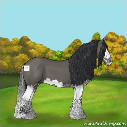 Horse Color:Grullo Splash 