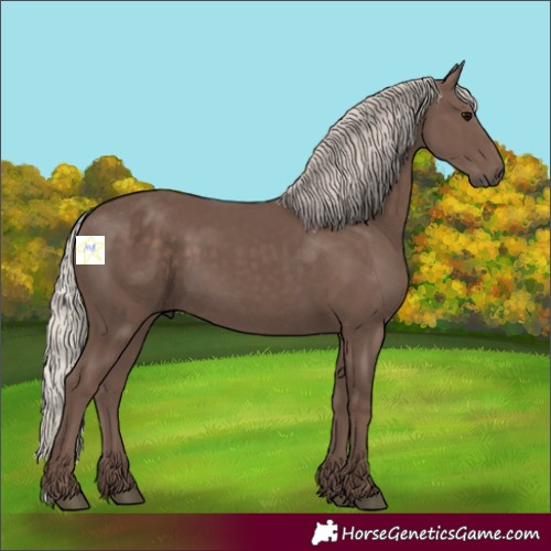 Horse Color:Silver Black 