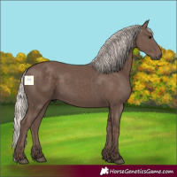 Horse Color:Silver Black 