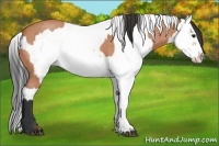 Horse Color:Bay Roan Splash Frame  and Bay Roan Splash Frame 