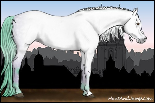 Horse Color:Gray Watercolor Bay Roan 