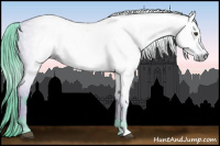 Horse Color:Gray Watercolor Bay Roan 