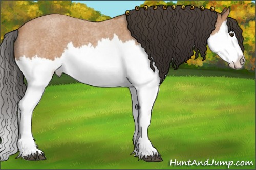 Horse Color:Bay Roan Splash 