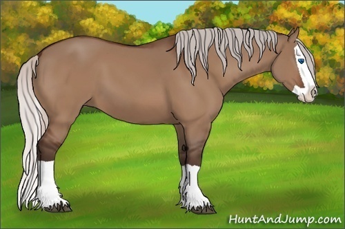 Horse Color:Silver Bay Dun Splash 