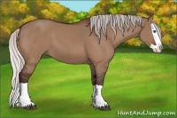 Horse Color:Silver Bay Dun Splash