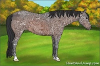 Horse Color:Bay Ice