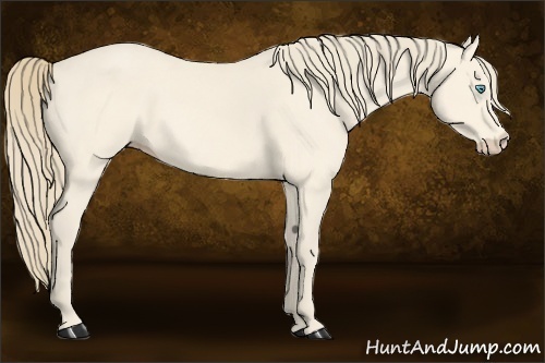 Horse Color:Perlino 
