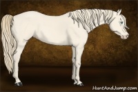 Horse Color:Perlino 