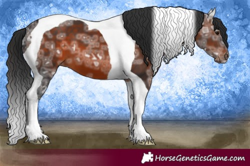 Horse Color:Brown Ice Tobiano