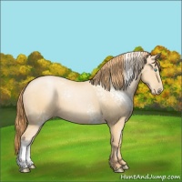 Horse Color:White Spotted Buckskin Pearl 