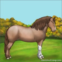 Horse Color:Brown Pearl 