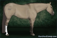 Horse Color:Smoky Grullo 