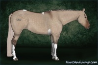 Horse Color:Silver Brown Dun Tobiano