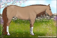 Horse Color:Red Dun 