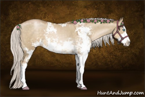 Horse Color:Silver Smoky Grullo Pearl Sabino