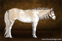 Horse Color:Silver Smoky Grullo Pearl Sabino
