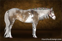 Horse Color:Silver Smoky Grullo Sabino 
